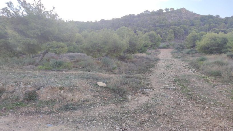 Terreno urbanizable en venta en cmno Ds Cartagena