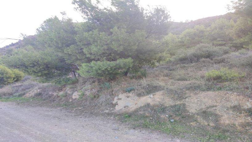Terreno urbanizable en venta en cmno Ds Cartagena