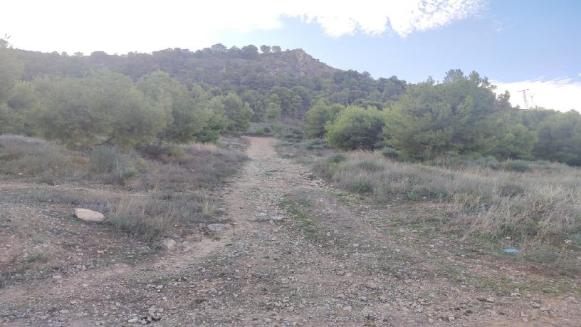 Terreno urbanizable en venta en cmno Ds Cartagena