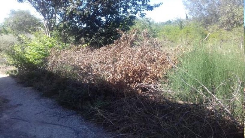 Developable land for sale in  Zm-bj1