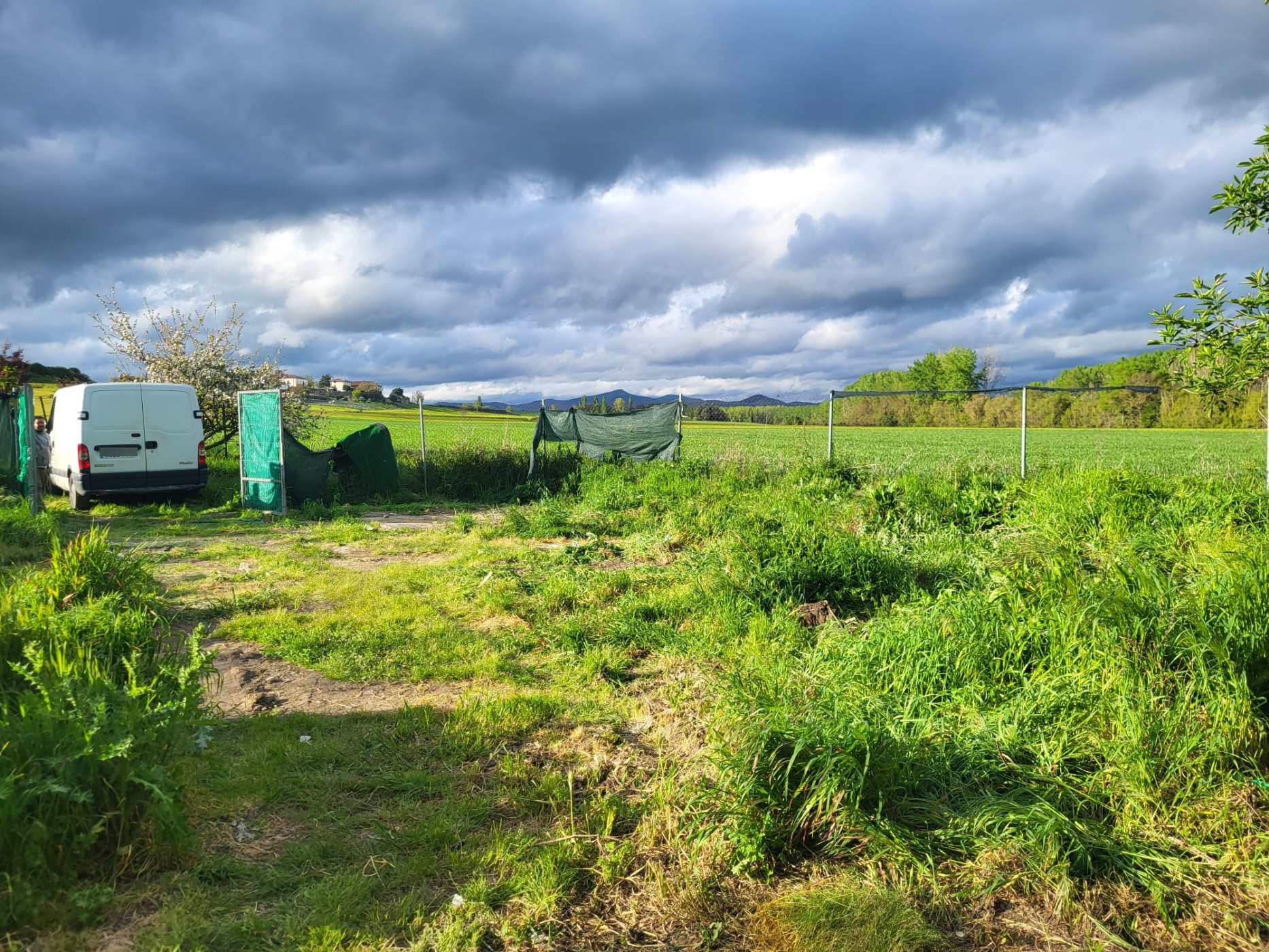 Terreno en venta en calle Camino de Ibero