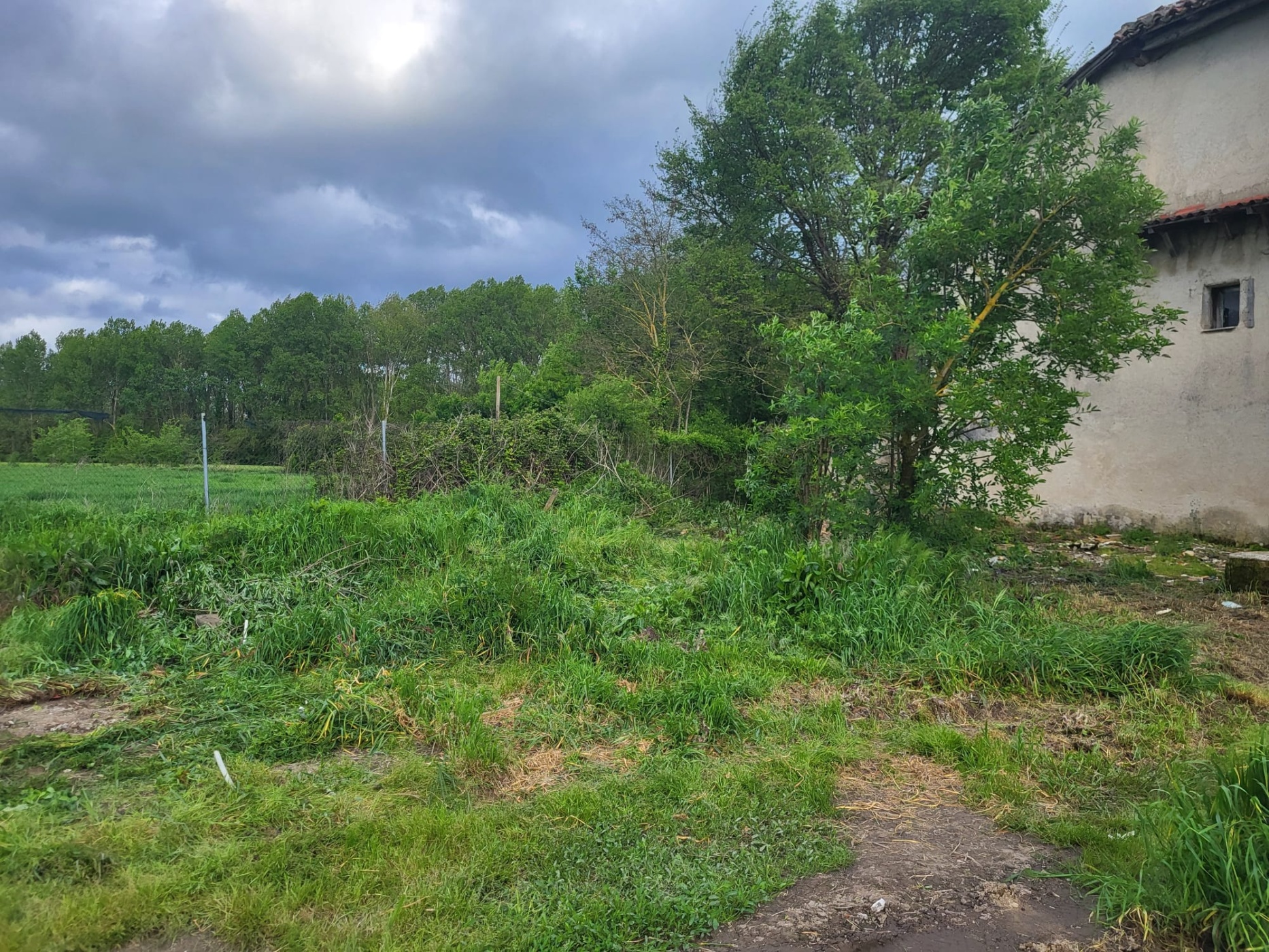 Terreno en venta en calle Camino de Ibero