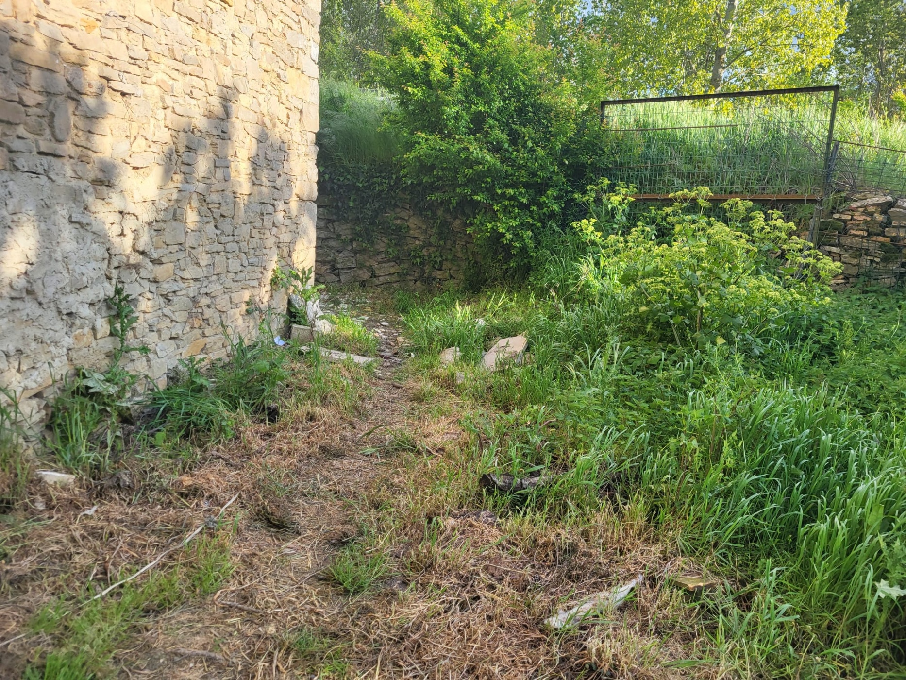 Terreno en venta en calle Camino de Ibero