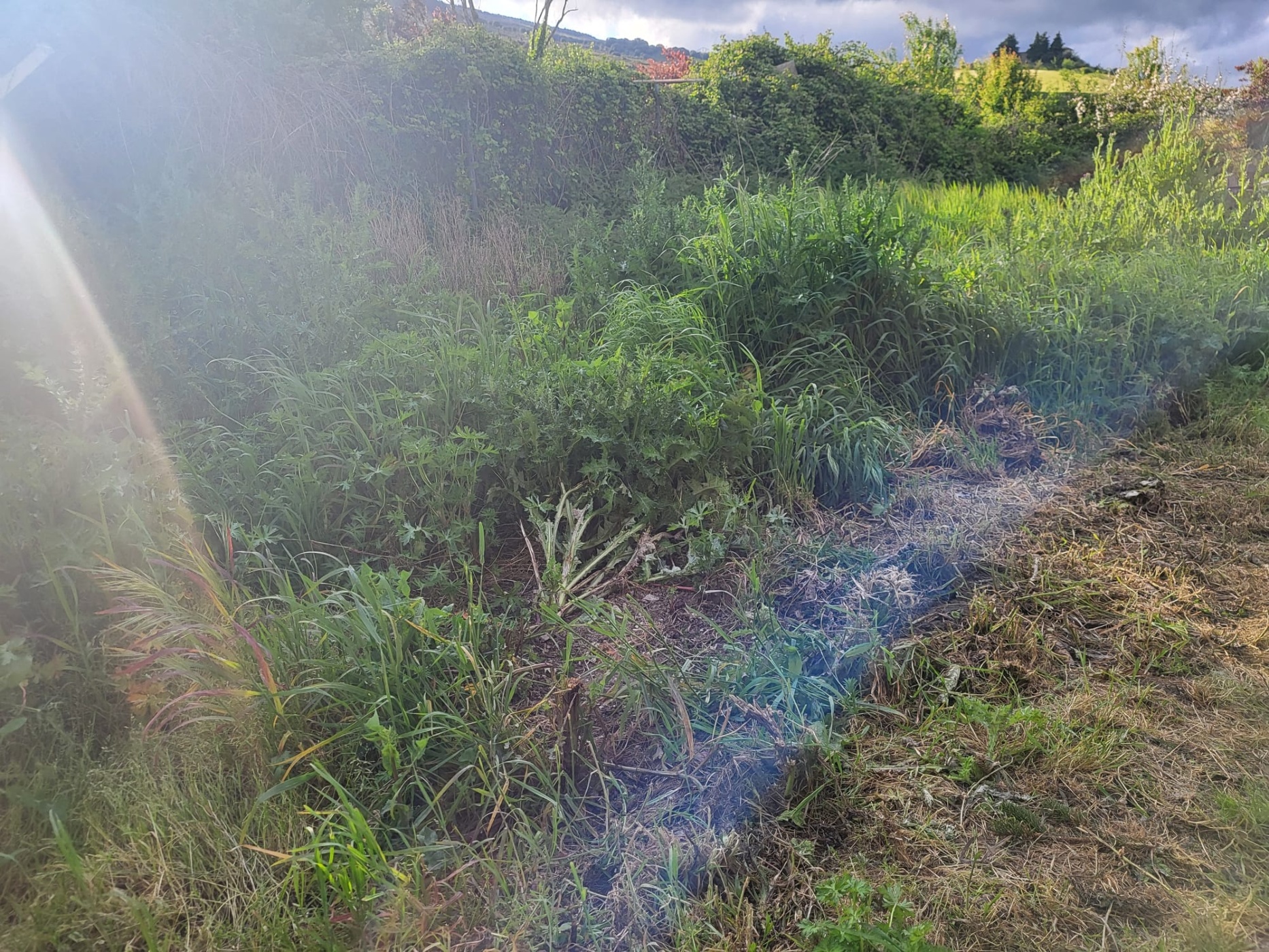 Terreno en venta en calle Camino de Ibero