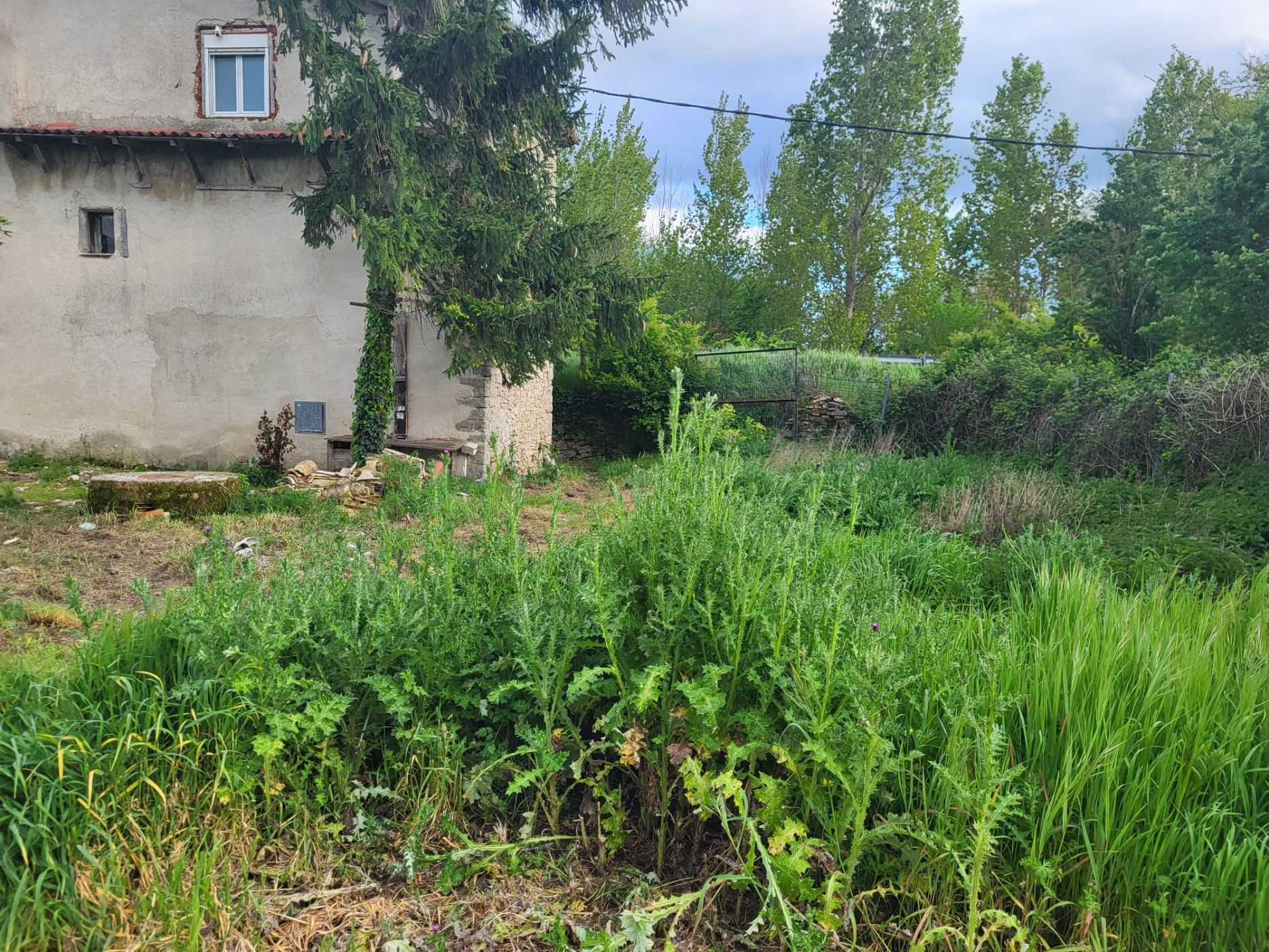 Terreno en venta en calle Camino de Ibero
