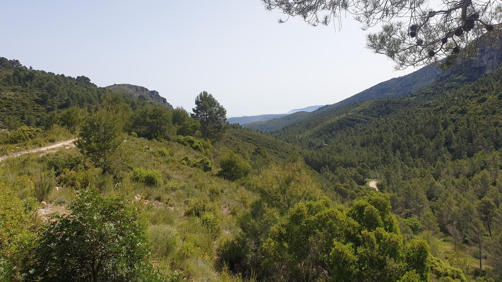 Rustic property for sale in otros Varias Parcelas