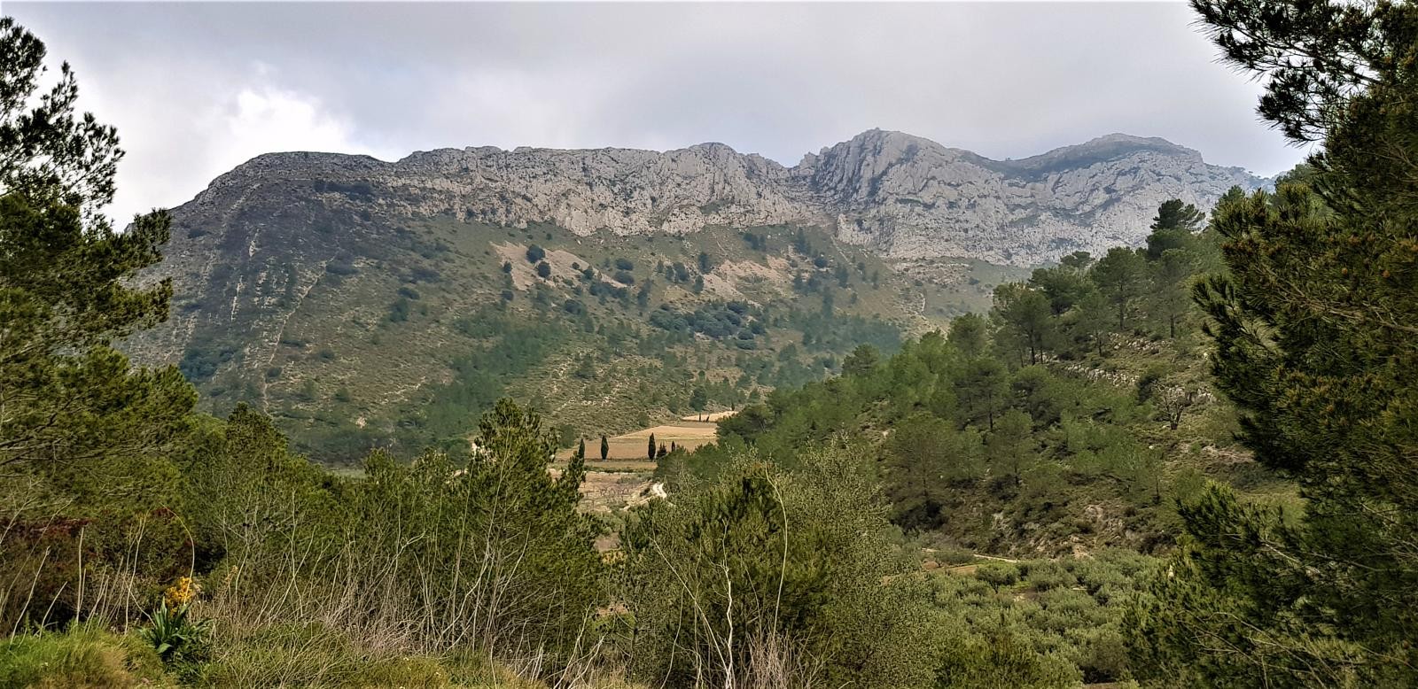 Rustic property for sale in otros Varias Parcelas