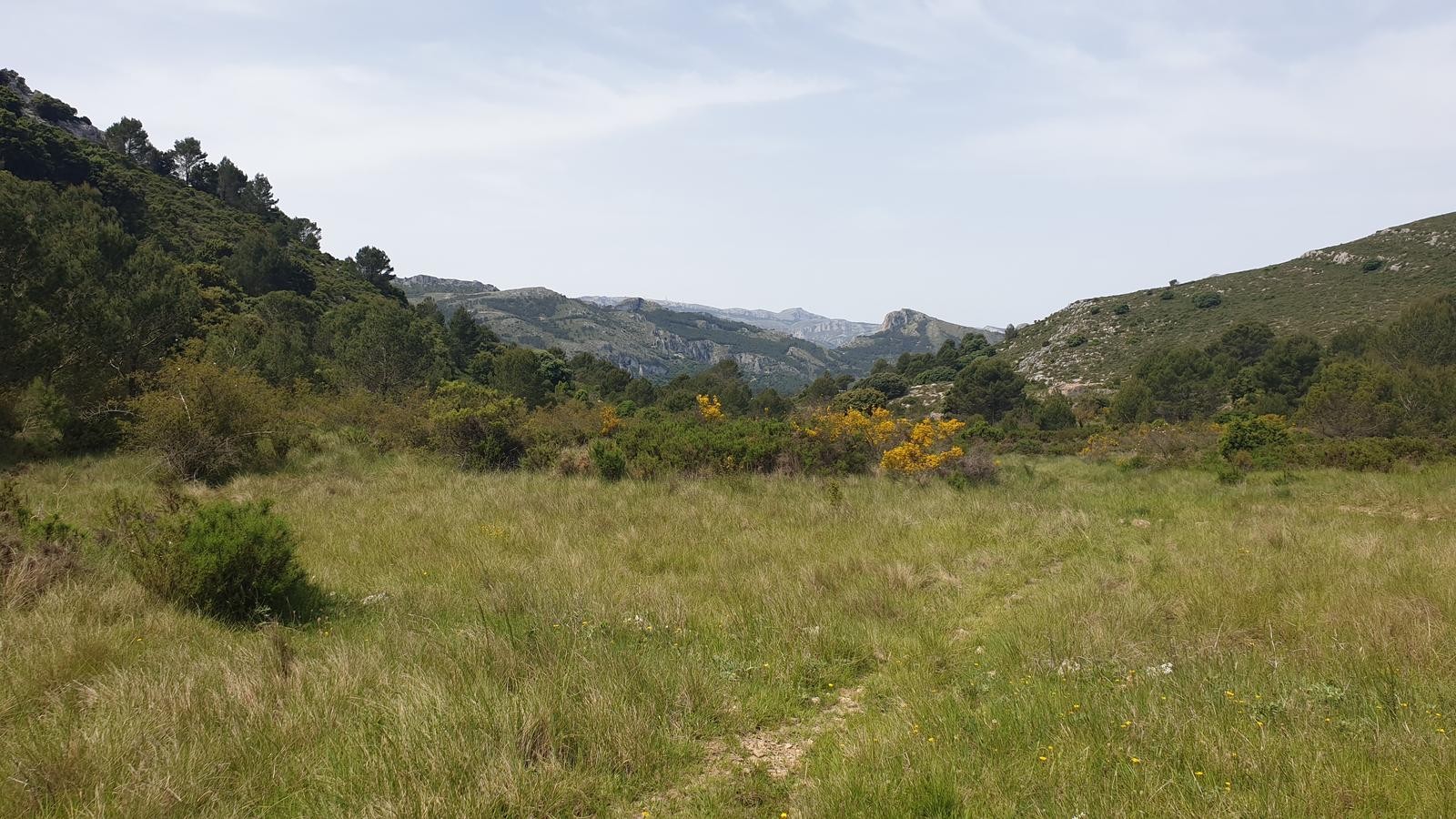 Rustic property for sale in otros Varias Parcelas