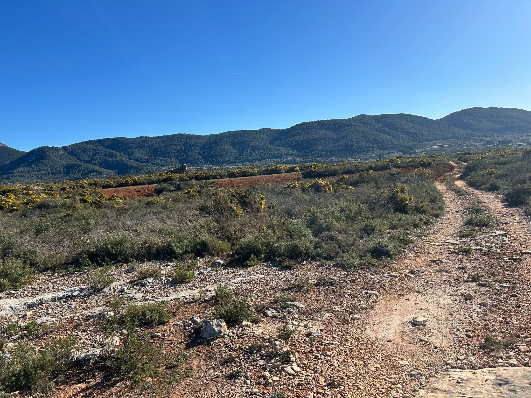 Rustic property for sale in partida Pla de la Viña