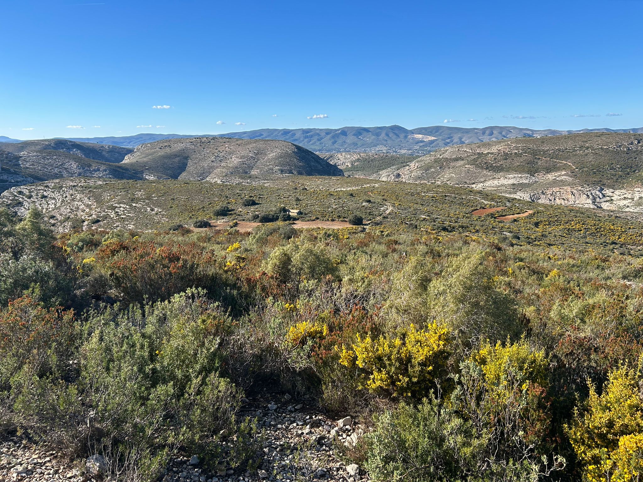 Rustic property for sale in partida Pla de la Viña