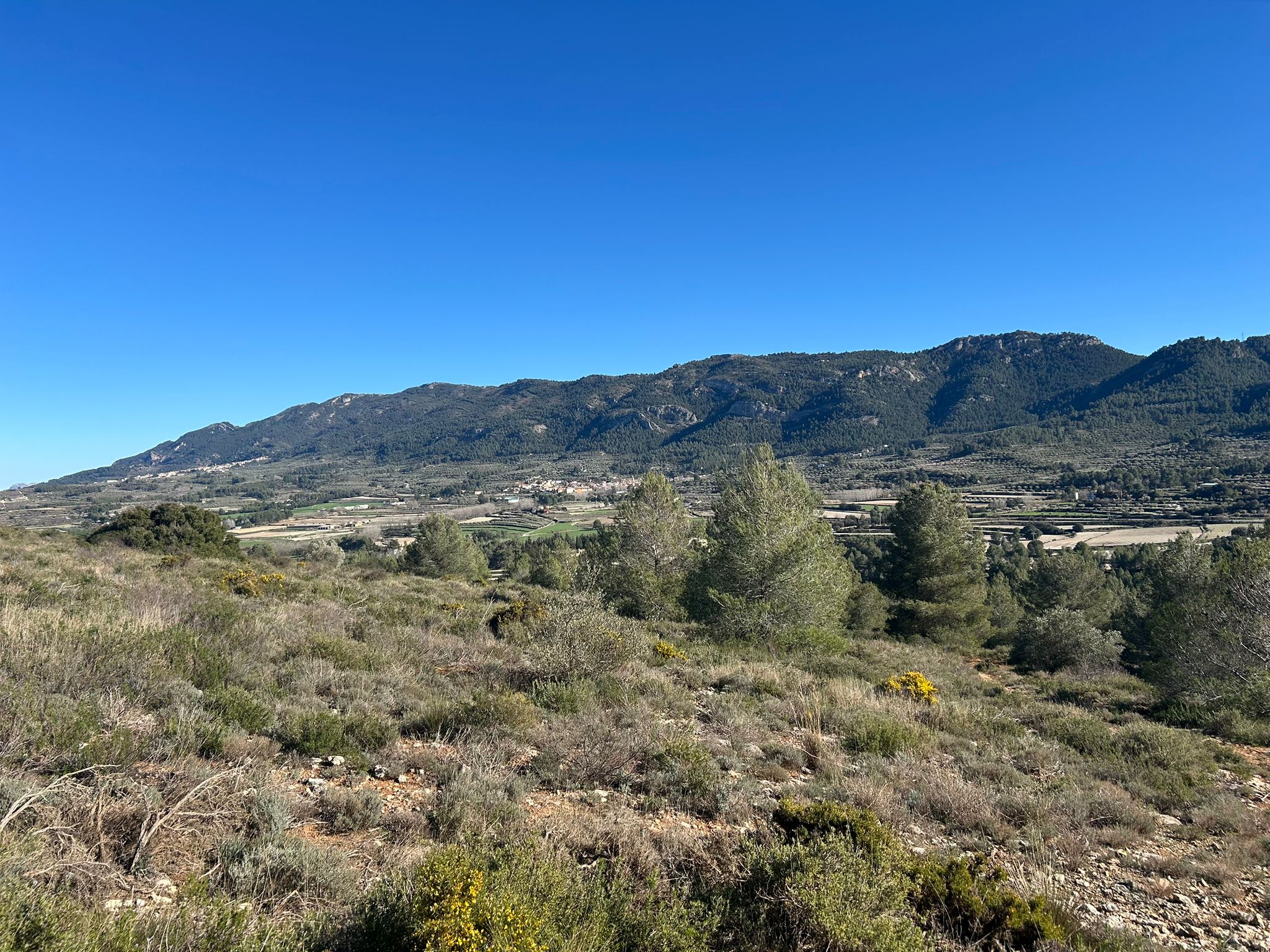 Rustic property for sale in partida Pla de la Viña