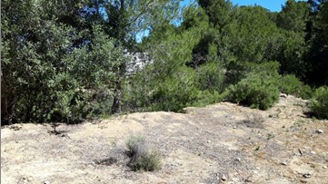 Ground for sale in polig Partida la Llomaina