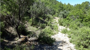 Ground for sale in polig Partida la Llomaina