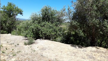 Ground for sale in polig Partida la Llomaina