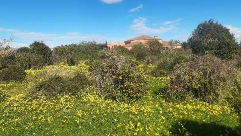 Terreno urbanizable en avenida Estatut D'autonomia, Pobla de Farnals (la), Valencia
