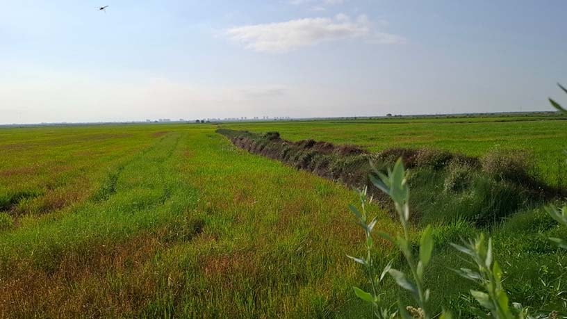 Propriété rustique à vendre à lugar El Alter Pol. 7