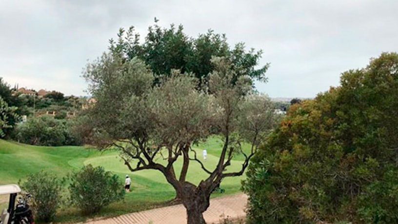 Promotion of Lands, Montecastillo, Jerez de la Frontera