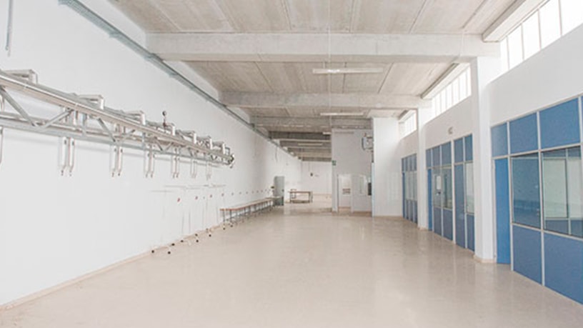 Promotion of Warehouses, C, Parque Tecnológico y Logistico de Vigo, Vigo