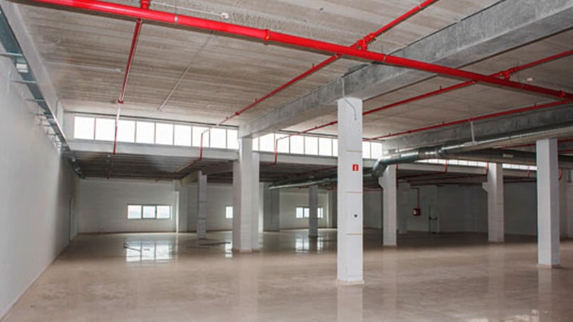 Promotion of Warehouses, C, Parque Tecnológico y Logistico de Vigo, Vigo