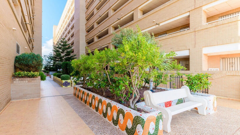Promotion of Garages, Central, Oropesa del Mar/orpesa